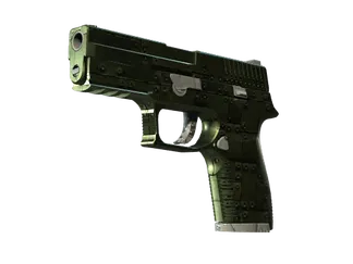 P250 | Iron Clad (Minimal Wear)