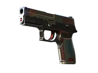 P250 | Cyber Shell (Field-Tested)