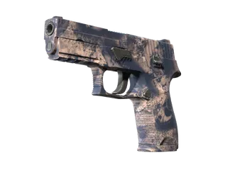 P250 | Drought (Factory New)