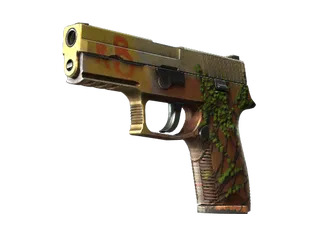 StatTrak™ P250 | Inferno (Well-Worn)