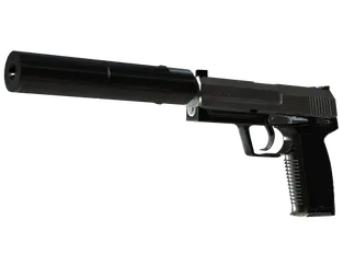 StatTrak™ USP-S | Stainless (Minimal Wear)