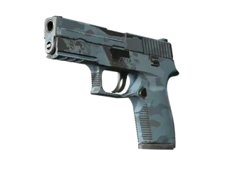 P250 | Forest Night (Well-Worn)