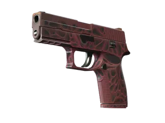 P250 | Contaminant (Minimal Wear)