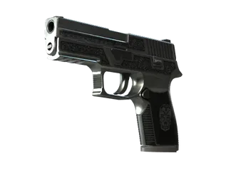 StatTrak™ P250 | Cartel (Well-Worn)
