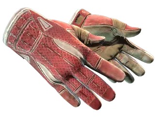 ★ Sport Gloves | Slingshot (Field-Tested)