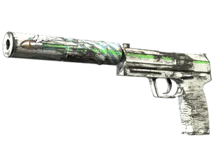 USP-S | Road Rash (Factory New)