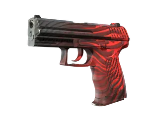 P2000 | Obsidian (Well-Worn)