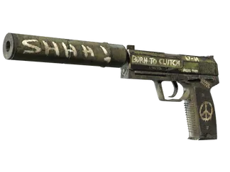 StatTrak™ USP-S | Flashback (Field-Tested)