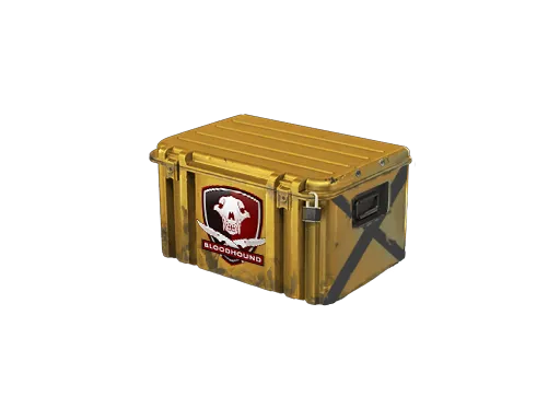 Falchion Case