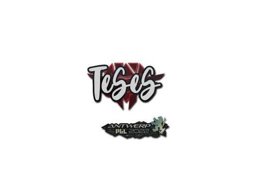 Sticker | TeSeS | Antwerp 2022