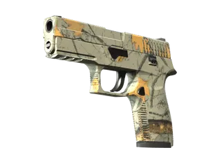 P250 | Modern Hunter (Minimal Wear)