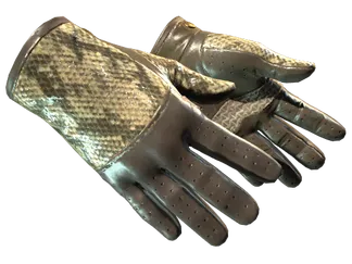 ★ Driver Gloves | Diamondback (Factory New)