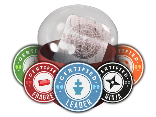 Team Roles Capsule