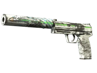 Souvenir USP-S | Road Rash (Field-Tested)