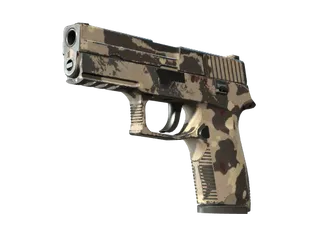 P250 | Black & Tan (Field-Tested)